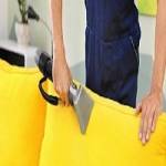 SES Upholstery Cleaning Brisbane Profile Picture