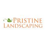 pristinelandscapingsa Profile Picture