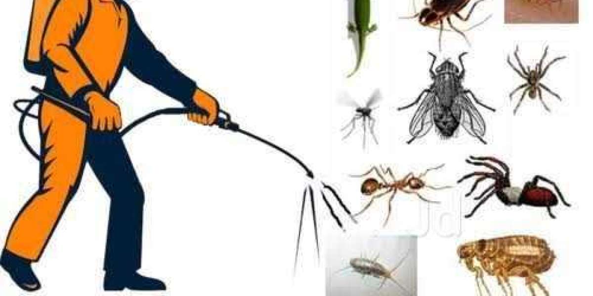 Crawling Critters, Flying Foes: Your Pest Battle Blueprint