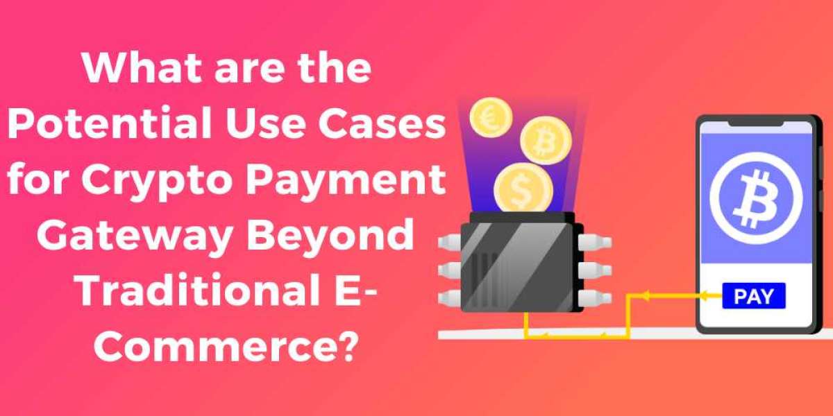 What are the Potential Use Cases for Crypto Payment Gateways Beyond Traditional E-Commerce?