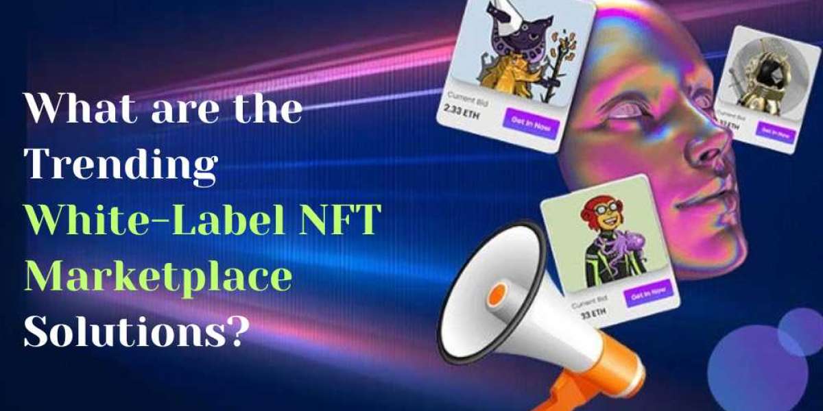 What are the Trending White-Label NFT Marketplace Solutions?