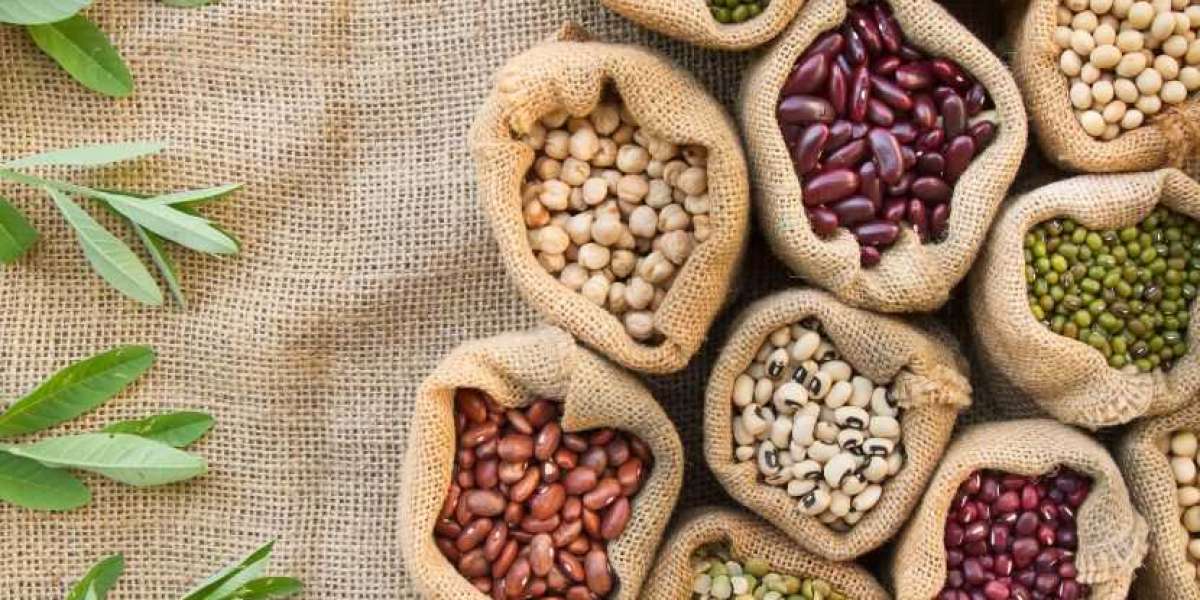 A Deep Dive into The Global Seed Treatment Market Size, Share, Growth and Analysis 2024-2032