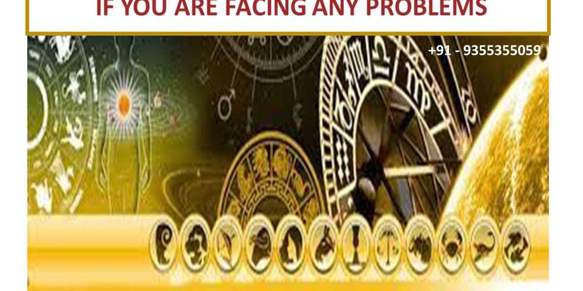 genuine astrologer in india