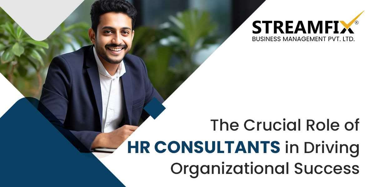 The Crucial Role of HR Consultants in Driving Organizational Success: A Holistic Examination      