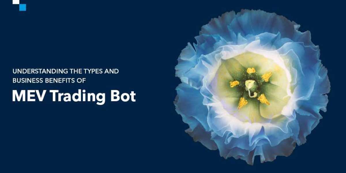 MEV Trading Bot: Understanding its Types, Working and Benefits