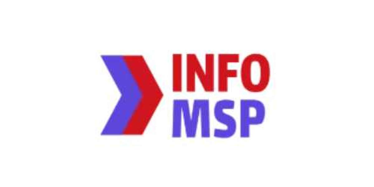 Managed Service Provider- Info MSP