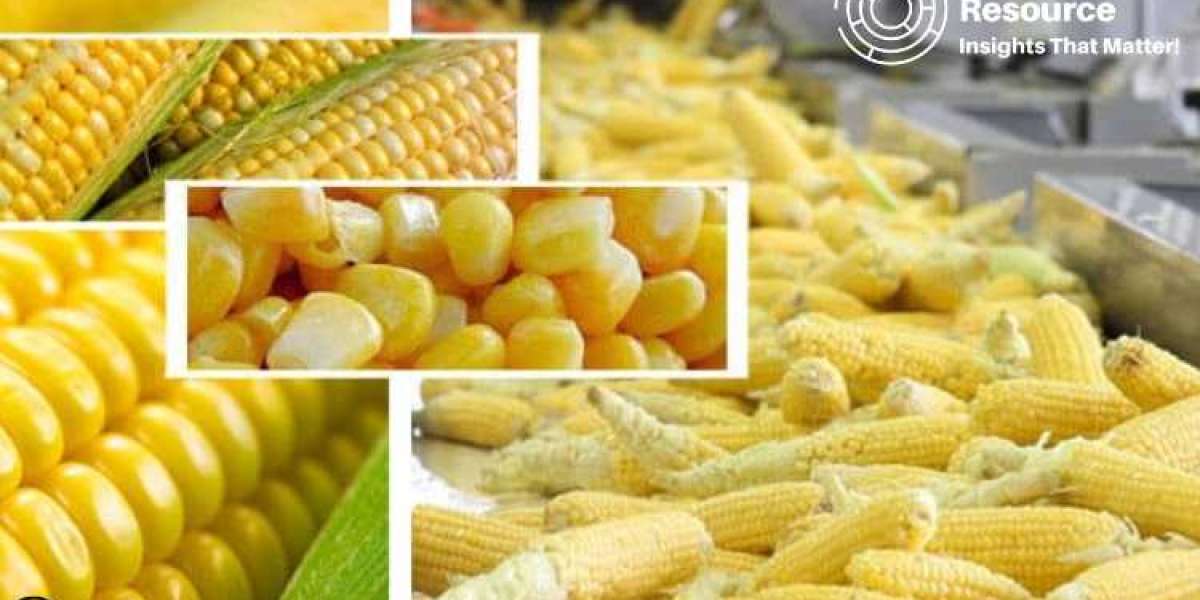 Staying Competitive: Analyzing the Cost Structure of Corn Processing Production