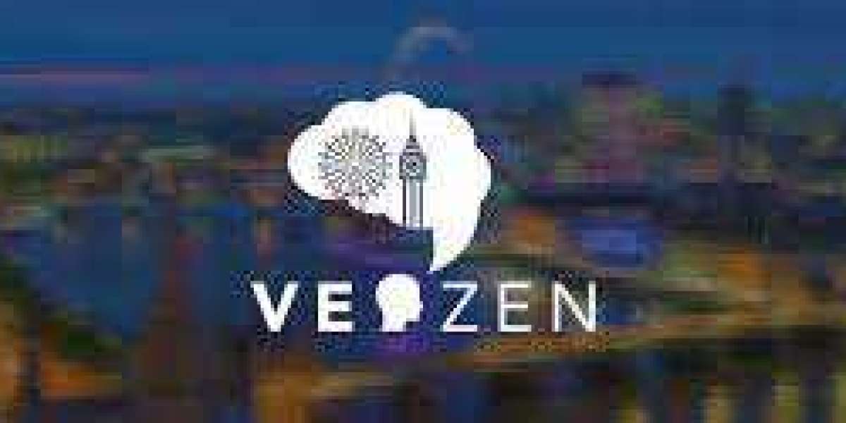 Veozen : Protéger la Vie Privée dans l'Ère Numérique