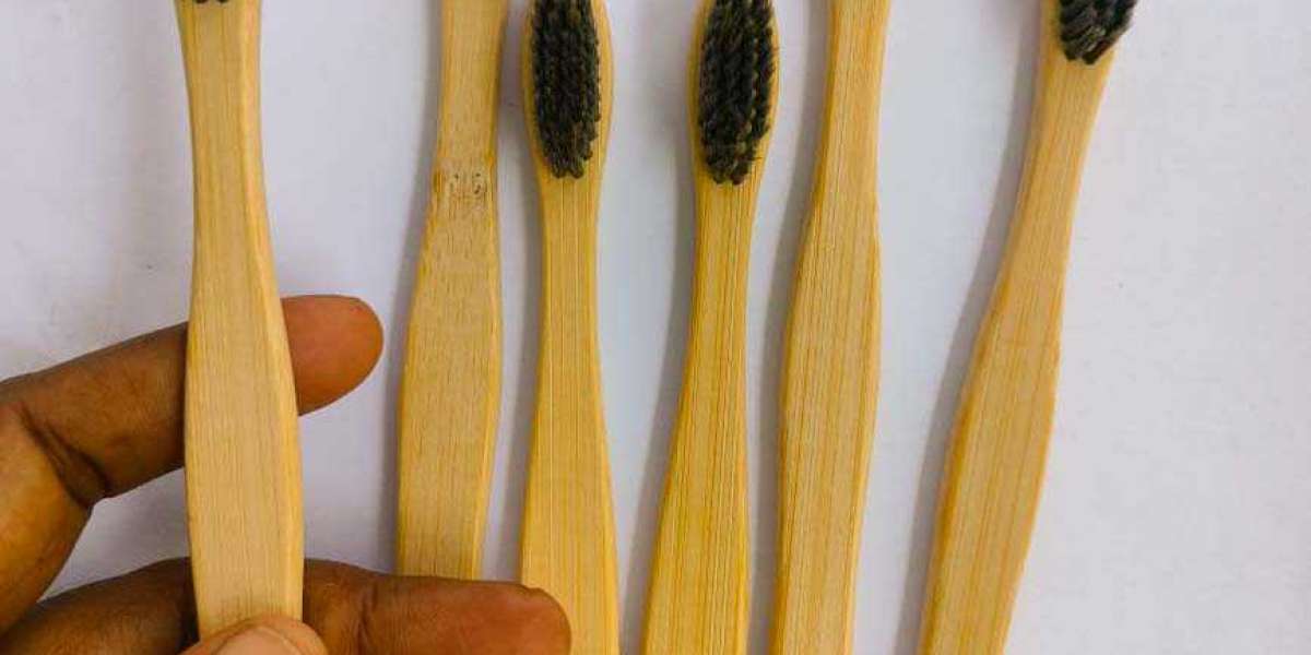 Bamboo Toothbrush Manufacturing Plant Project Report 2024: Production Process, Raw Materials Requirement, Cost and Reven