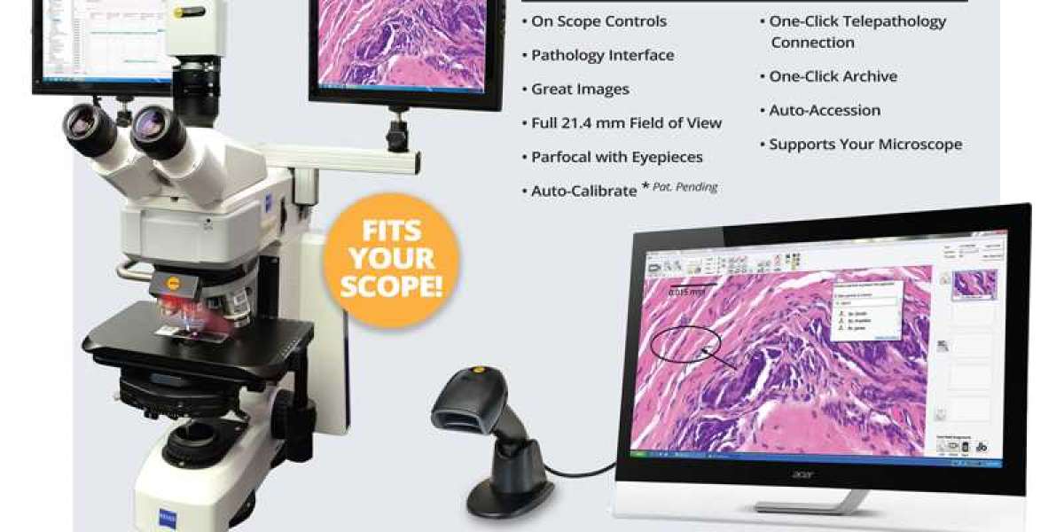 Unveiling the Digital Revolution: A Look at the Thriving Pathology Imaging Systems Market