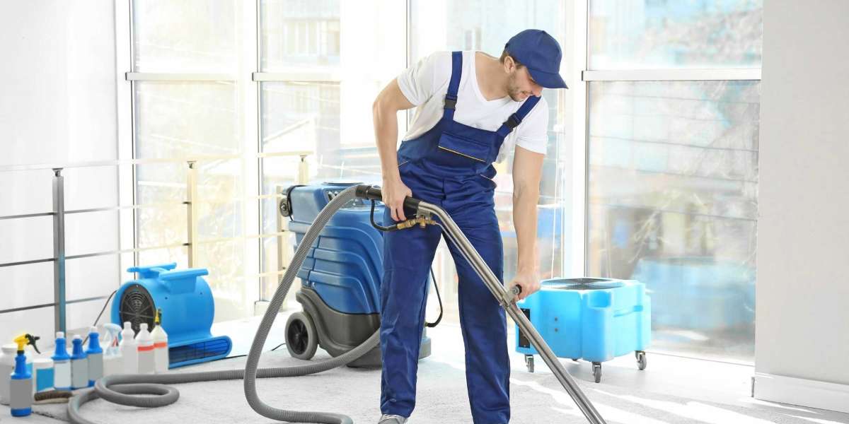 A Royal Clean: Discovering Cinderellacleaning Services in London
