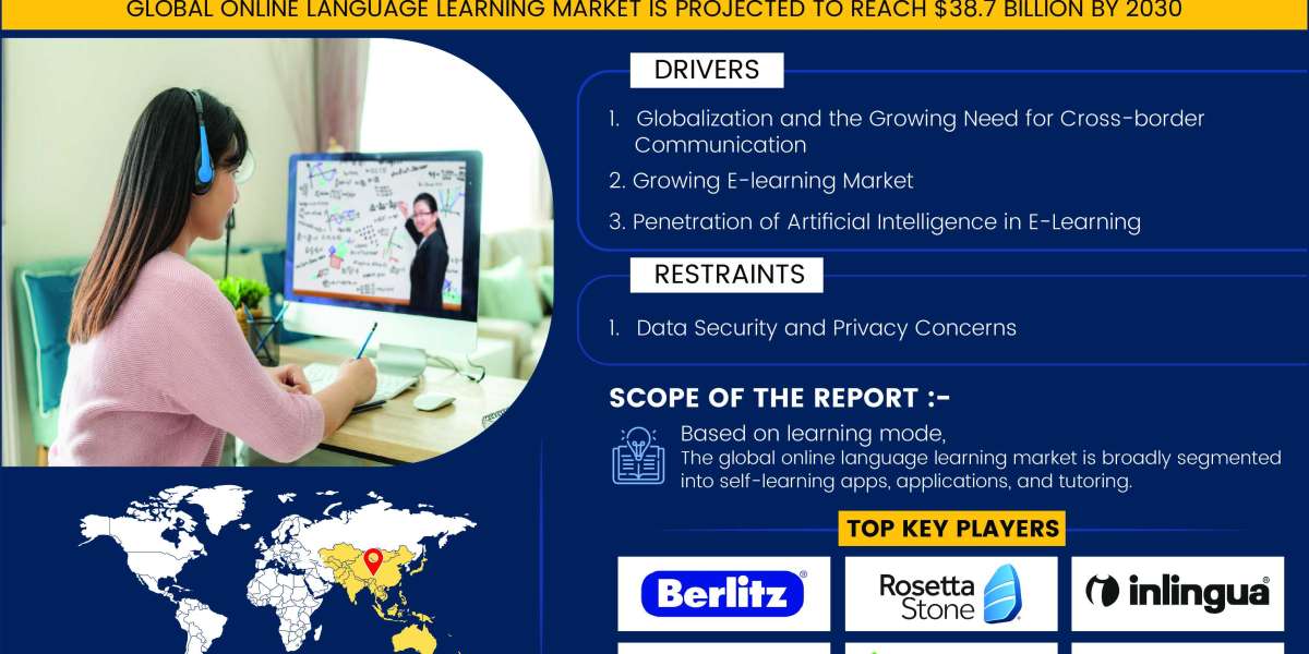 Unveiling the Landscape of the Online Language Learning Market: Top 10 Companies Driving Growth