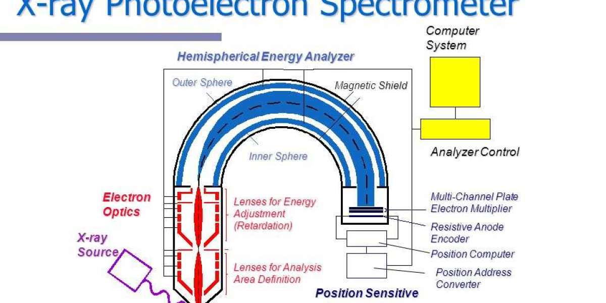 X-Ray Spectrometer Market Analysis By Share, Key Company, Trends and Forecast by 2031