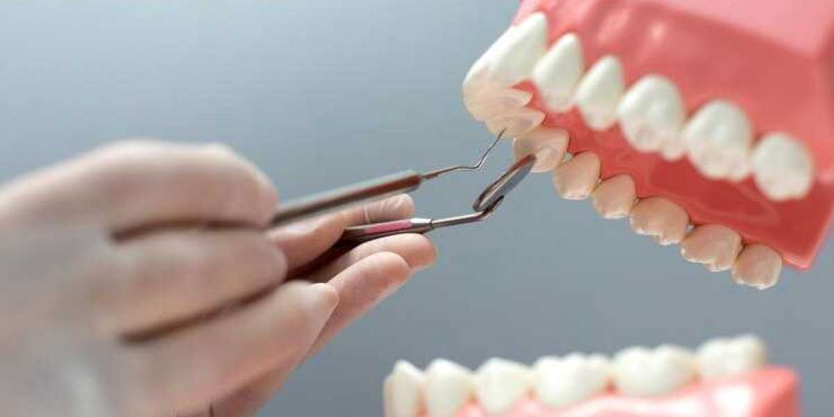 Meticulous Research® Projects Tooth Replacement Market to Reach $30.6 Billion by 2031