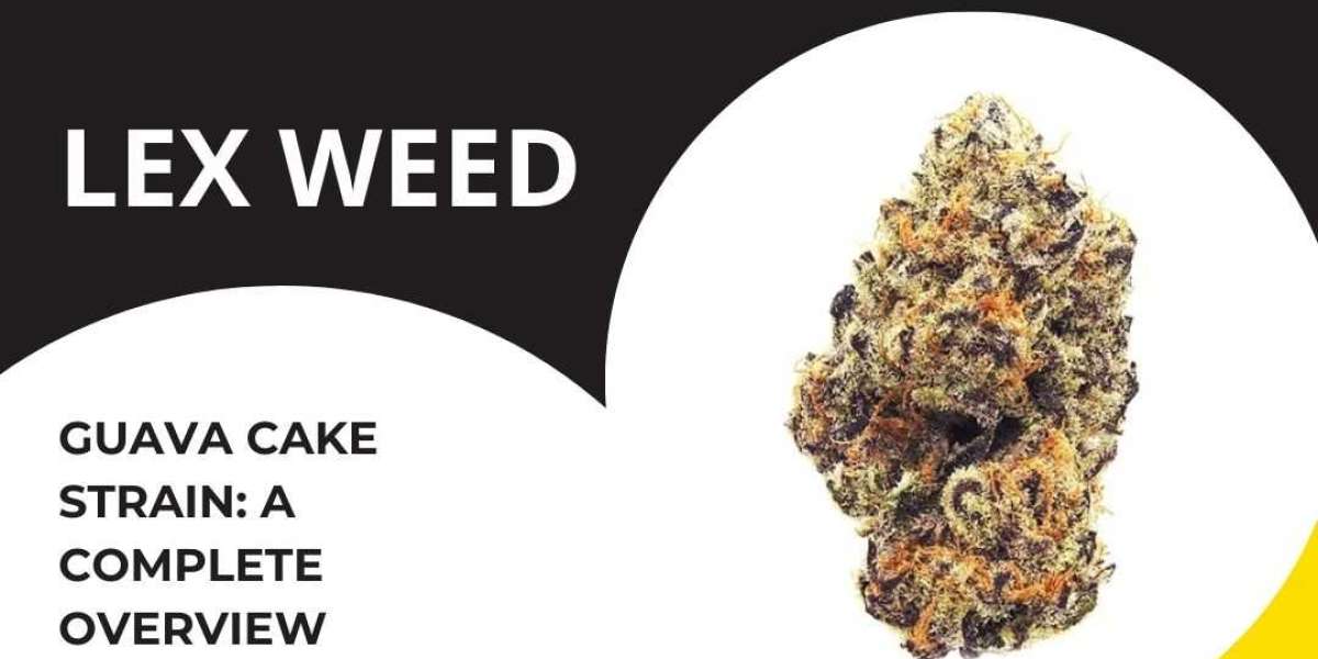 Elevate Your Cooking with Guava Cake Strain