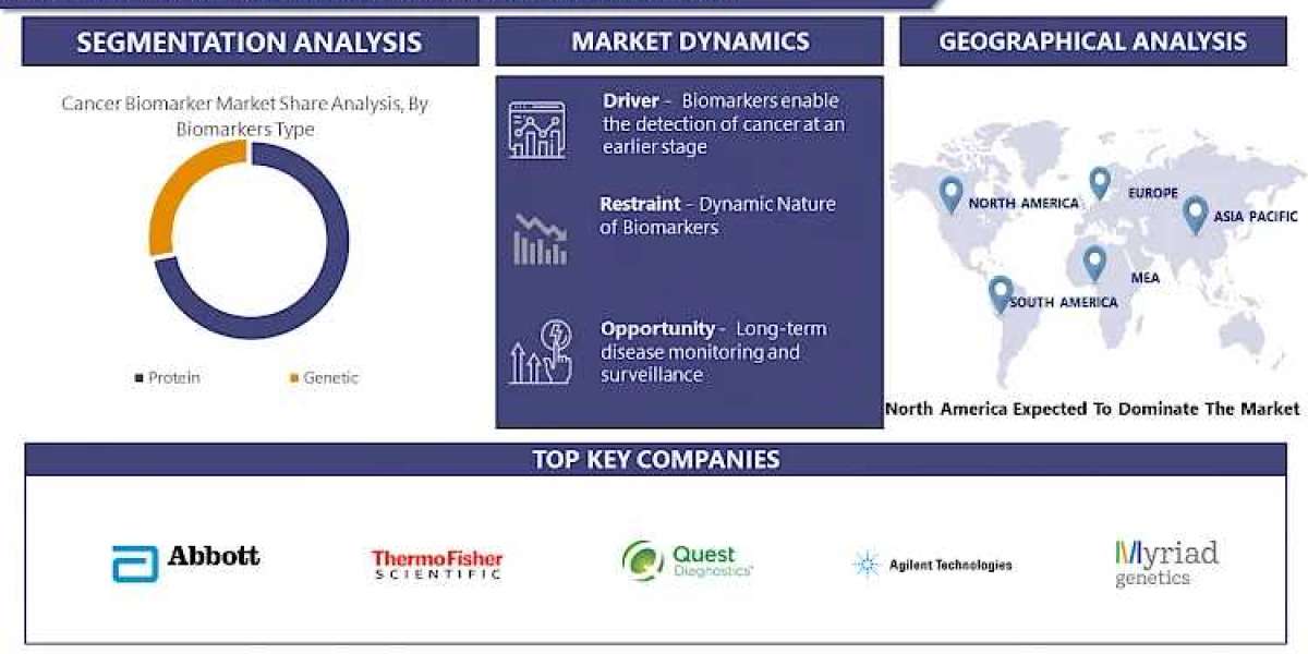 Cancer Biomarkers Market, Size, Share, Trends, Grow to USD 12.7 Billion by 2032, Growing at a CAGR of 42.56% From 2024-2