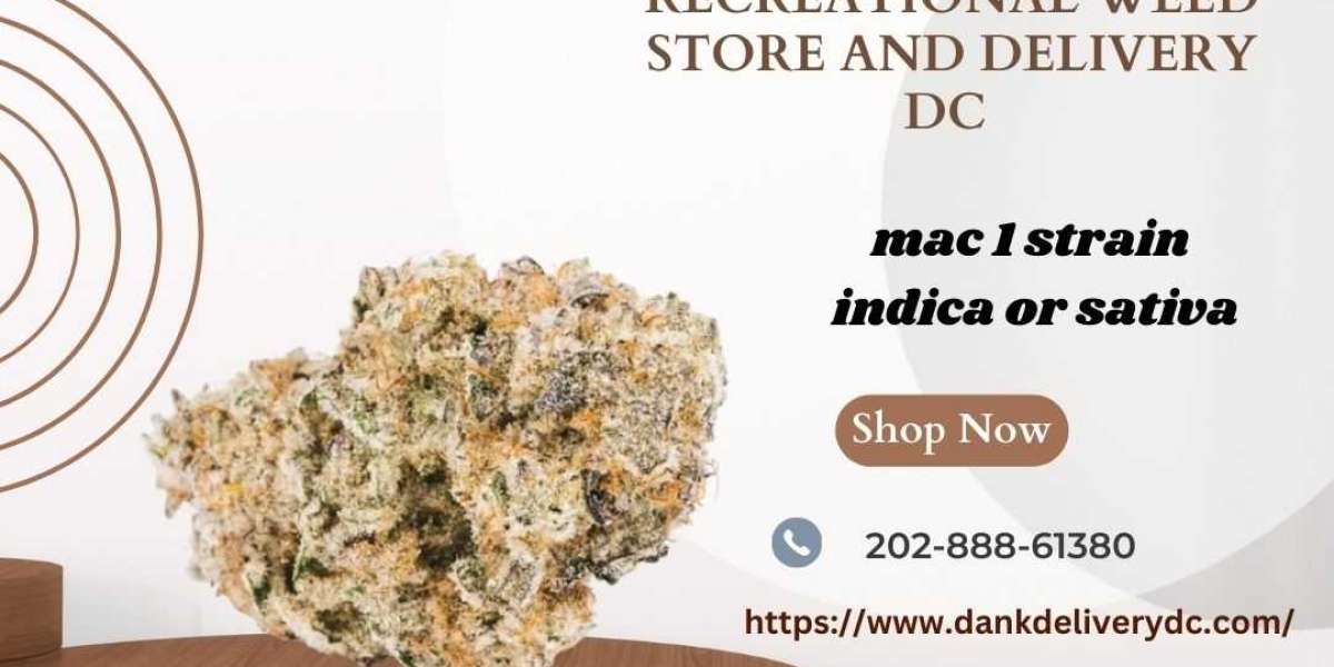 Harvesting Mac 1 Strain: Indica or Sativa?