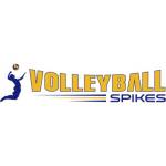 Volleyball Spike Profile Picture