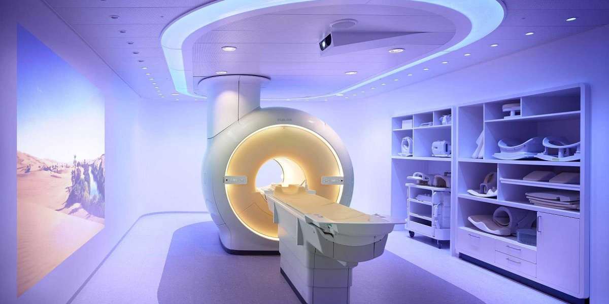 Medical Imaging Phantoms Market Report | Overview Size, Share, Growth, Trends Analysis to 2031
