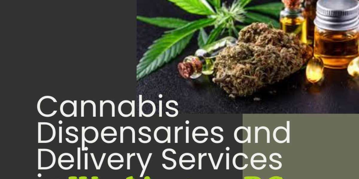 Navigating Cannabis Dispensaries and Delivery Services in Washington, DC