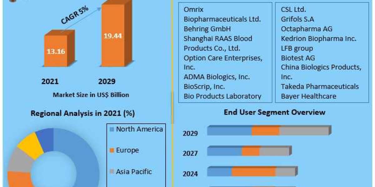Healthcare Policy and Its Impact on the IVIG Market