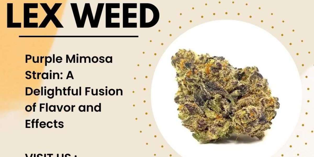 Purple Mimosa Strain: A Delightful Fusion of Flavor and Effects