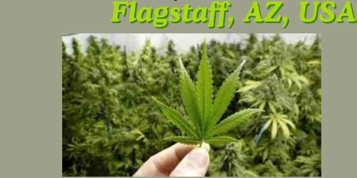 WeedX IO: Your Convenient Weed Delivery Service in Flagstaff