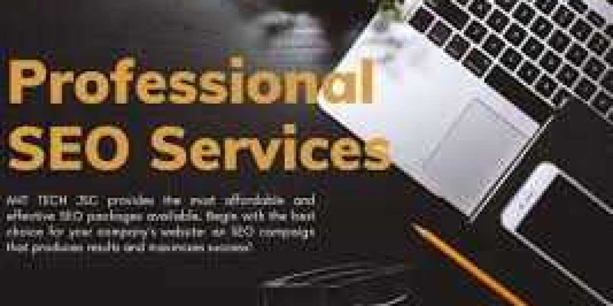 Professional SEO Service can drive your success