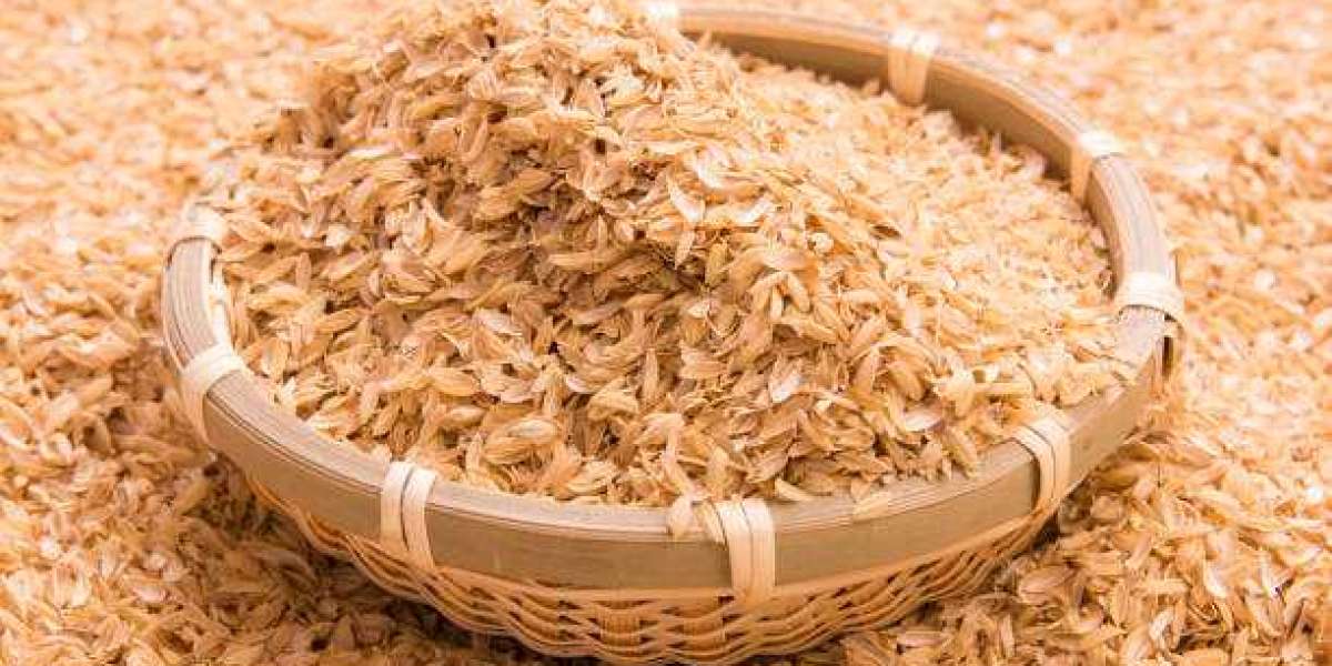 Rice Husk Manufacturing Plant Project Report 2024: Machinery, Raw Materials, Setup Cost and Revenue