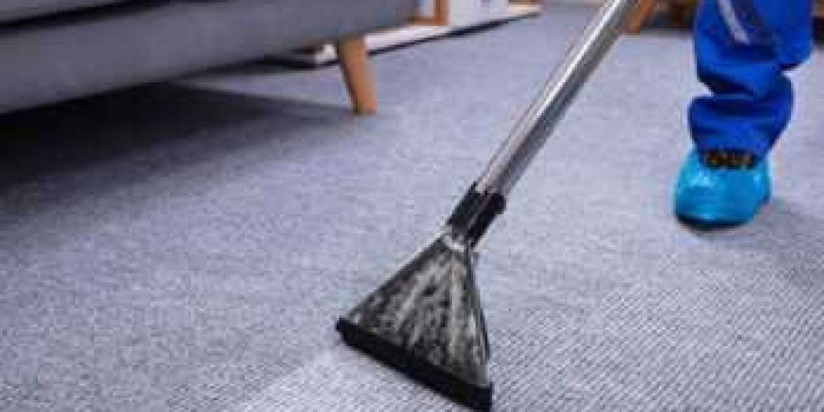 The Essential Need for Professional Carpet Cleaning in Allergy-Prone Homes