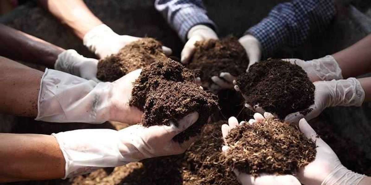 From Compost to Manure: The Best Organic Fertilizers for Your Farm