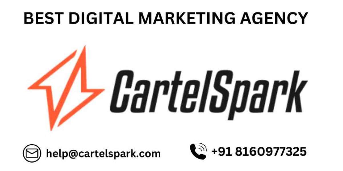 Denver SEO Company: Elevating Digital Presence with CartelSpark