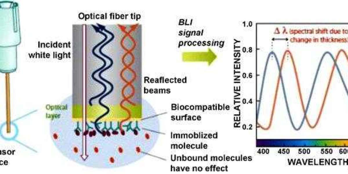 Application, Principle and Advantages of Biolayer Interference Technology (BLI)