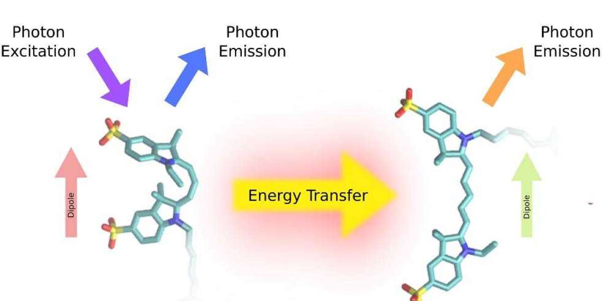 Fluorescence Resonance Energy Transfer (FRET) for Molecular Analysis