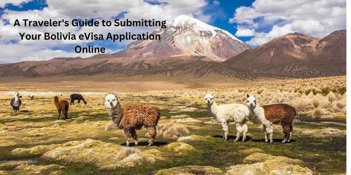 A Traveler's Guide to Submitting Your Bolivia eVisa Application Online