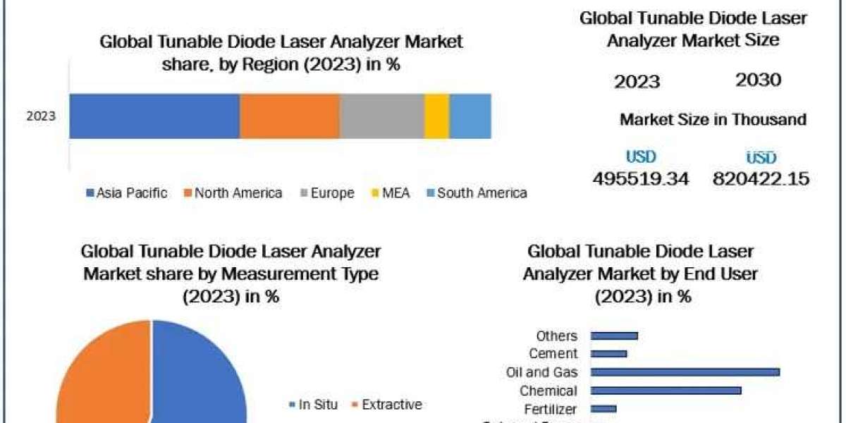 Tunable Diode Laser Analyzer Market Competitive Landscape and Key Players by 2030